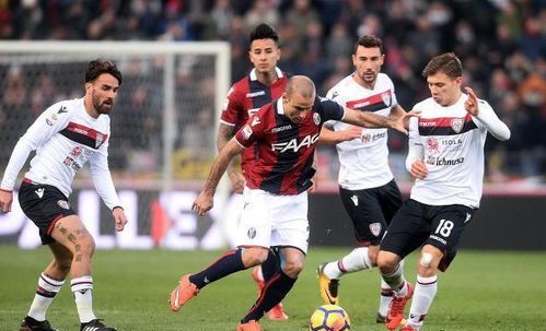 维罗纳队上演逆转好戏，惊险获胜！的简单介绍